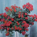 Untitled design (24)