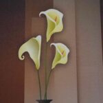 Untitled design (12)