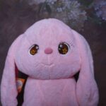 DSC08395